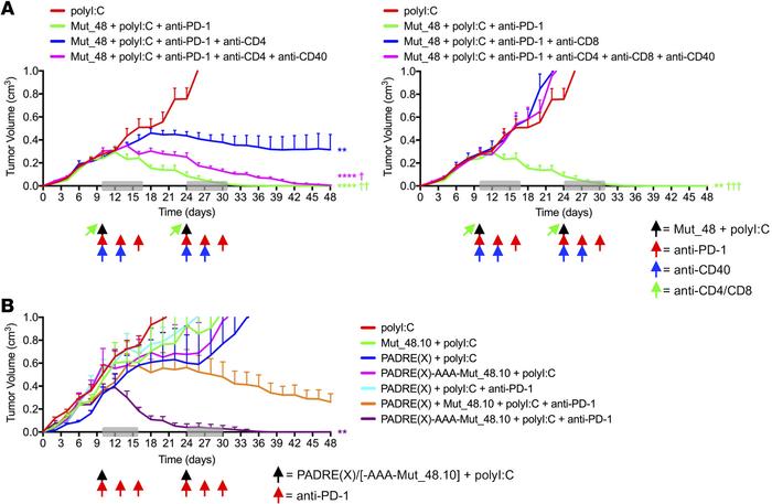 Tethered CD4+ T cell helper epitopes optimize checkpoint blockade and CT...