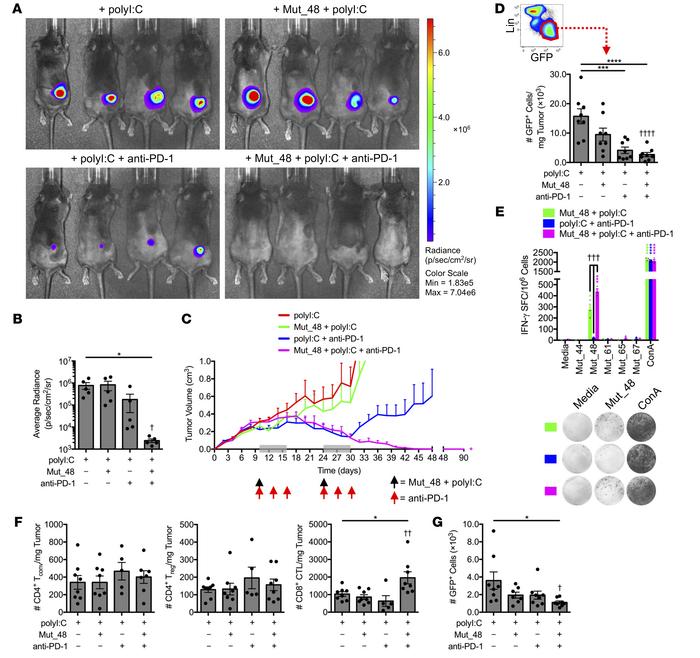 Delayed therapeutic codelivery of anti-PD-1 and Cltc

Δ15 promotes clear...
