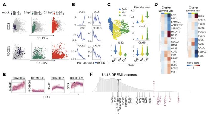 Single-cell RNA-Seq identifies features of HSV-2–infected CD4+ T cells.
...