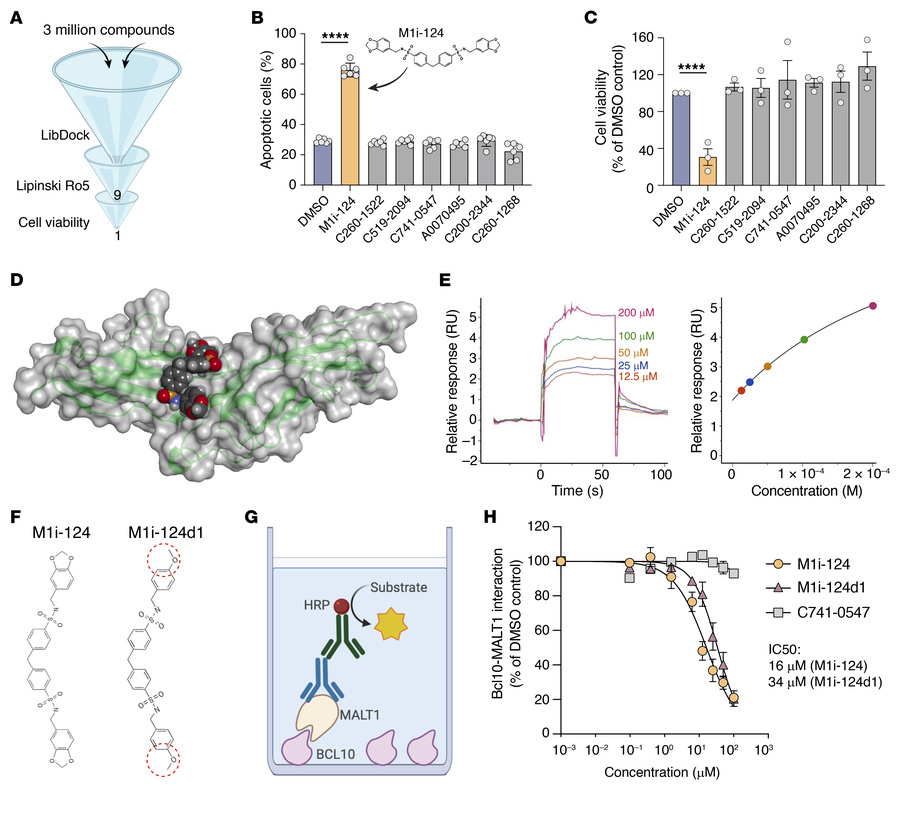 In silico drug screen identifies M1i-124 as a BCL10-MALT1 PPI inhibitor....