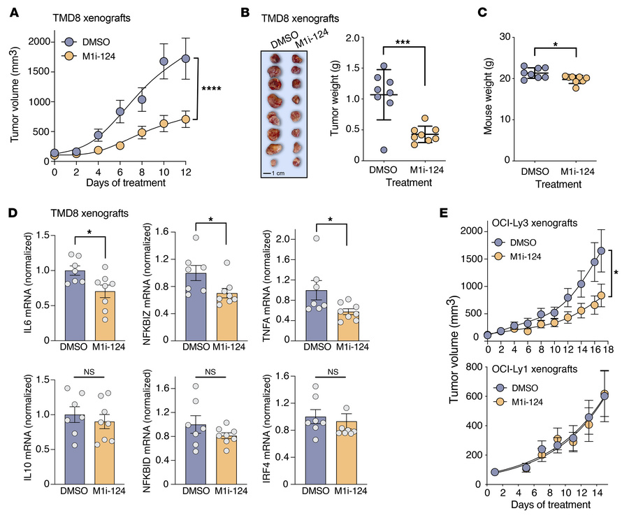 M1i-124 inhibits ABC-DLBCL lymphoma tumor growth in a xenograft mouse mo...
