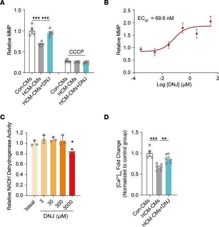 DNJ acts as a potential agent for HCM treatment.
(A) Measurement of MMP ...