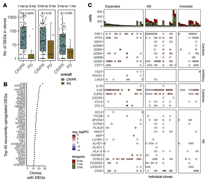 Clones from responding patients undergo more transcriptional alterations...
