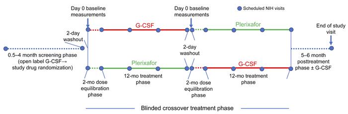 Trial design.
Study phase durations, treatment, and interval NIH visits ...