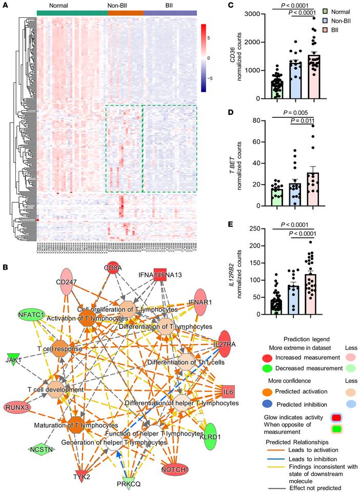 Comparative transcriptomic and molecular pathway analyses of participant...