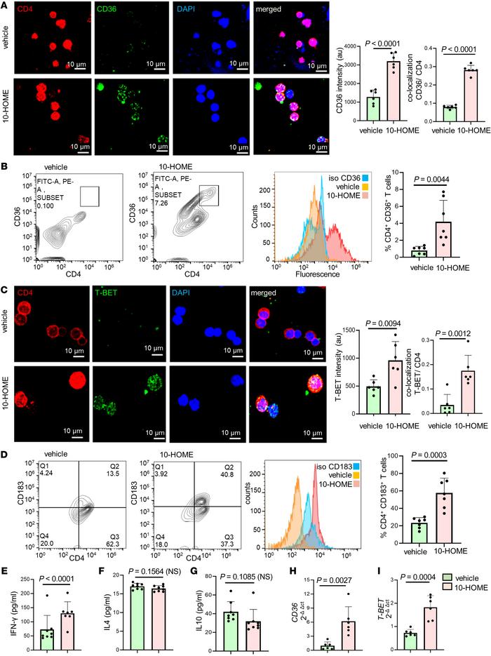 Oxylipin 10-HOME polarizes naive CD4+ T cells to Th1 subtype in vitro.
(...