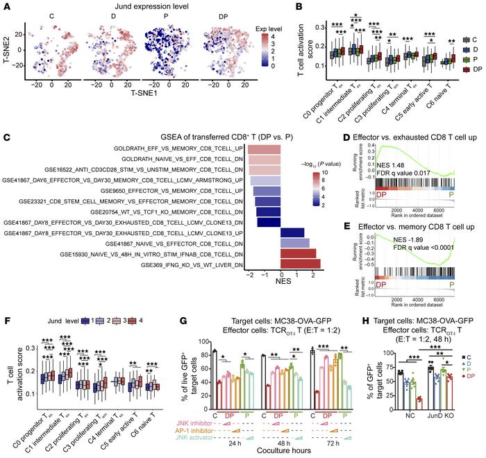 DP treatment suppresses the terminal differentiation of exhausted T cell...