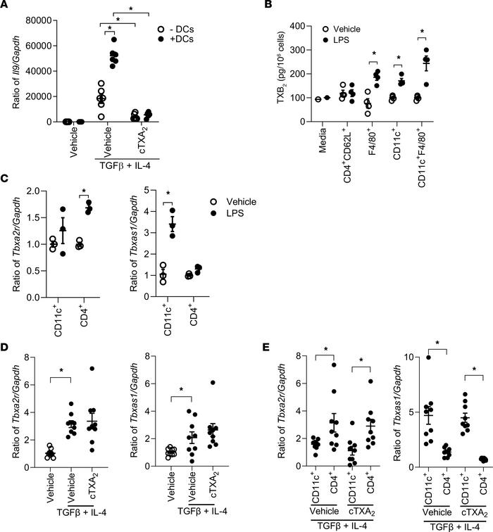 TXA2 inhibits promotion of Th9 cell differentiation by DCs in vitro.
(A)...