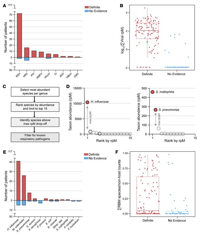 Metagenomic identification of respiratory pathogens.
(A) Bar plot showin...