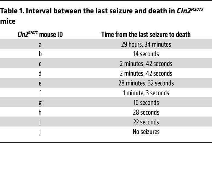 Interval between the last seizure and death in Cln2R207X mice