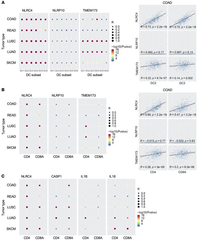 
NLRC4 expression is associated with DC2 and DC3 cells and CD4+ and CD8+...