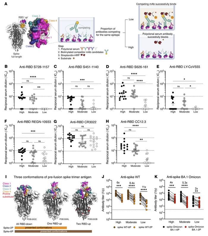 Convalescent serum antibody competition with broadly neutralizing RBD-re...