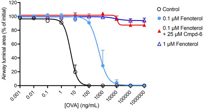 The β2AR-selective PAM Cmpd-6 greatly enhances bronchoprotection by the ...