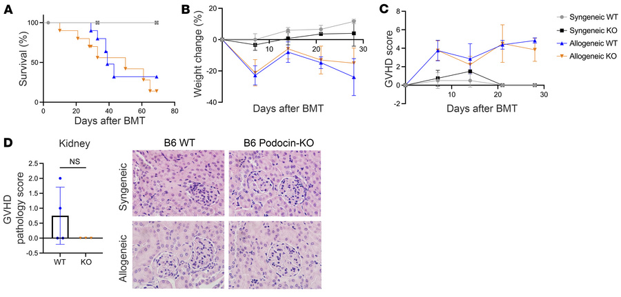 JCI - Autophagy differentially regulates tissue tolerance of distinct ...