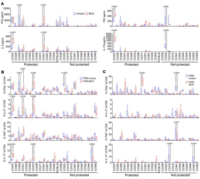 Cytokine responses in CC strains following Mtb infection.
(A) Lung cells...