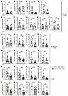 Improving lymphatic flow reduces draining lymph node B and T cell responses
