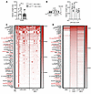 Improving lymphatic flow long term reduces systemic disease activity.