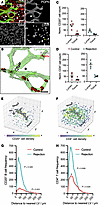 Molecular and spatial analyses indicate impaired T cell trafficking by kidn