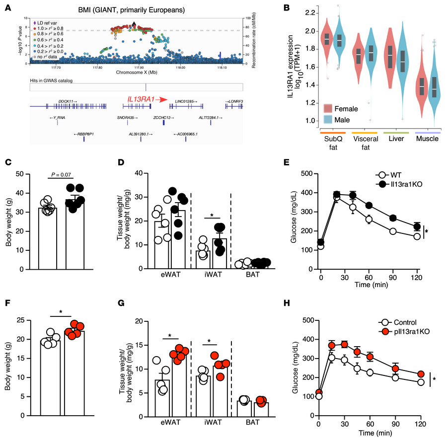 
Il13ra1 is associated with body weight.
(A) Variants located at the IL1...