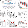 Il13ra1 is associated with body weight.