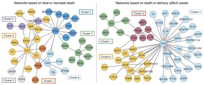 Parenclitic network analysis and clustering by pregnancy outcome.
Networ...