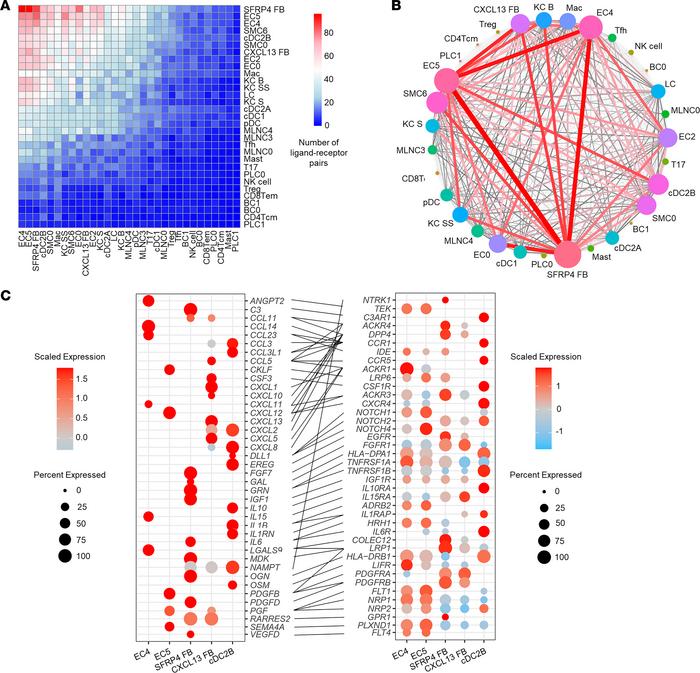 Ligand-receptor analysis reveals cell subtype–specific networks in HS le...