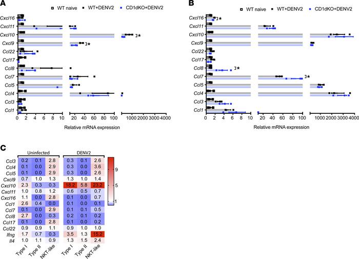 CD1ddep NKT cells promote the expression of Th1-associated cytokines and...
