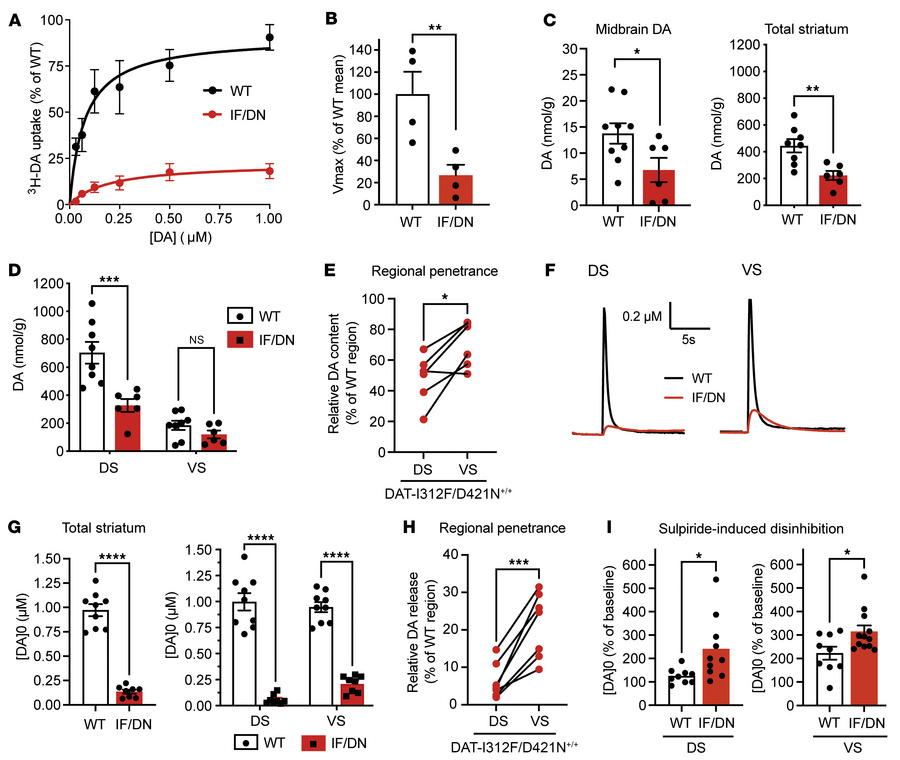 DA dysregulation in DAT-I312F/D421N+/+ mice.
(A) 3H-DA saturation uptake...
