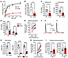 DA dysregulation in DAT-I312F/D421N+/+ mice.