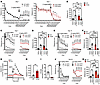 AMPH and orphenadrine alleviate hyperactivity in DAT-I312F/D421N+/+ mice.