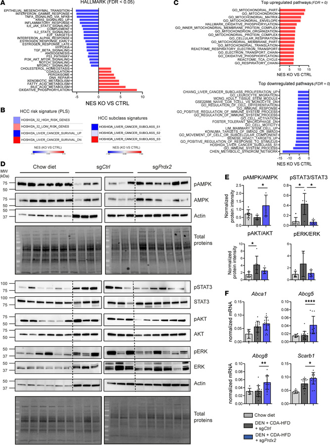 PRDX2 is involved in HCC development by improving lipid metabolism and t...