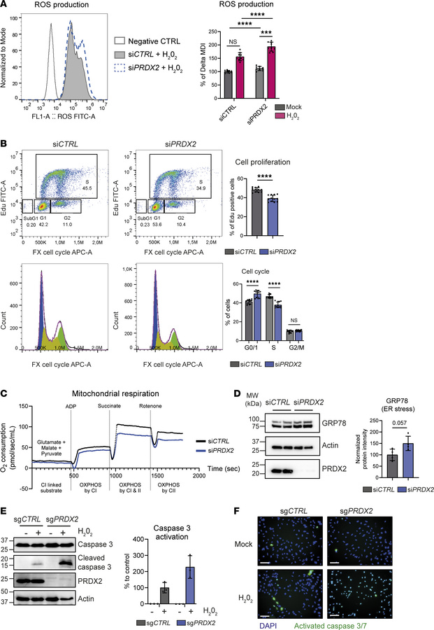 Targeting PRDX2 in cancer cells increases oxidative stress, reduces cell...