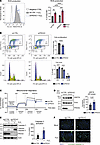 Targeting PRDX2 in cancer cells increases oxidative stress, reduces cell pr