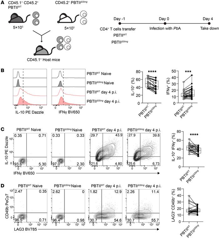 CD4+ T cell STING is required for Tr1 cell development in experimental m...