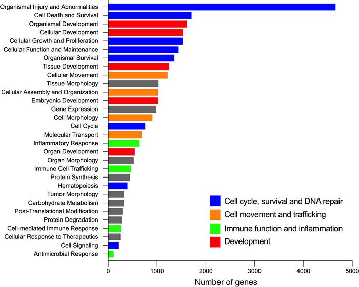 RNA-Seq of RAB7-silenced PAECs.
Ingenuity Pathway Analysis of bulk RNA-S...