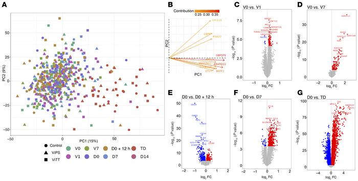Global overview of blood gene expression data over the study time points...