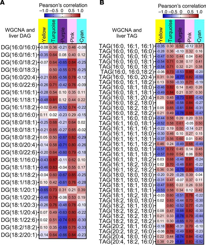 WGCNA analysis reveals significant correlations between modules and hepa...