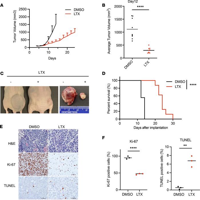 Inhibition of de novo purine synthesis by LTX inhibits MLL4 mutant tumor...