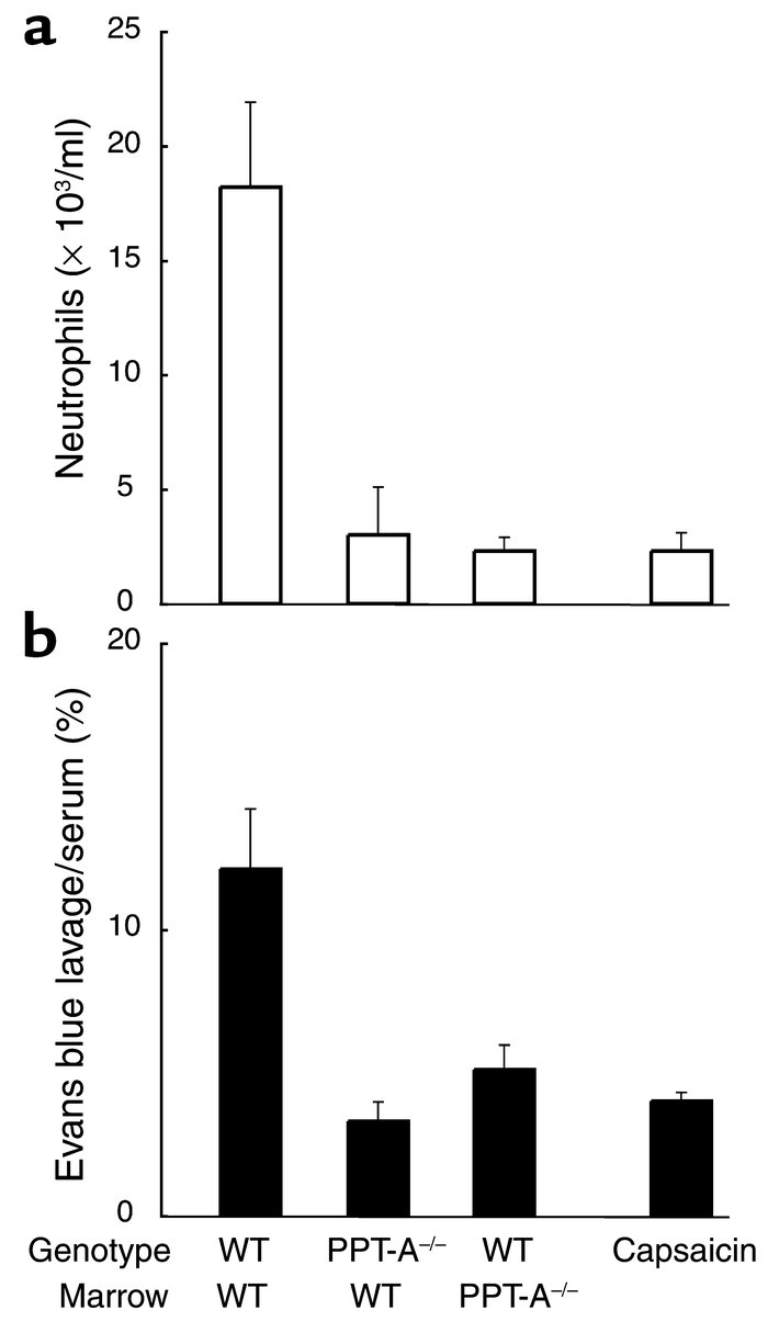 Protection conferred by reconstitution of WT mice with PPT-A gene–delete...