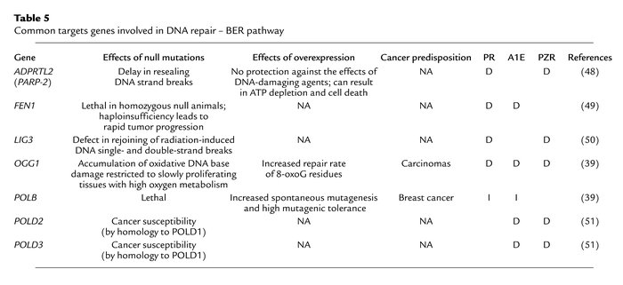 Common targets genes involved in DNA repair – BER pathway
