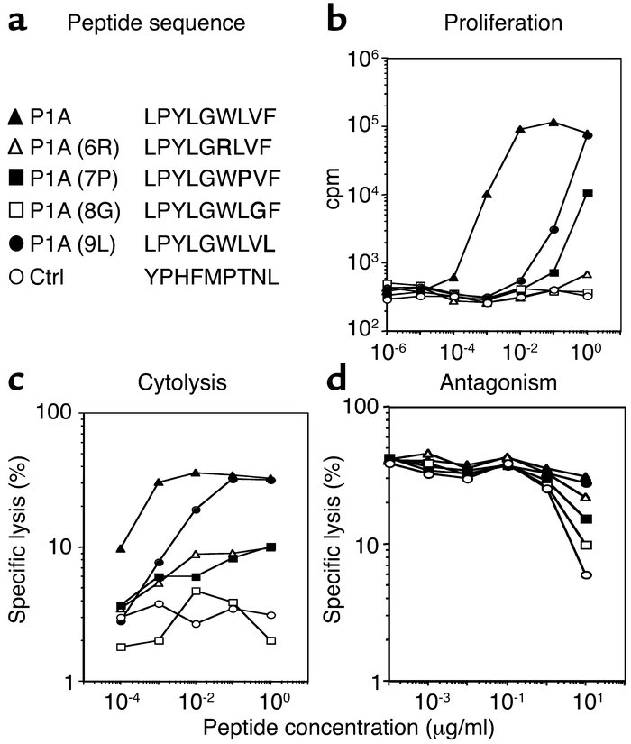 Mutations in the P1A epitope abolished or drastically reduced T cell rec...