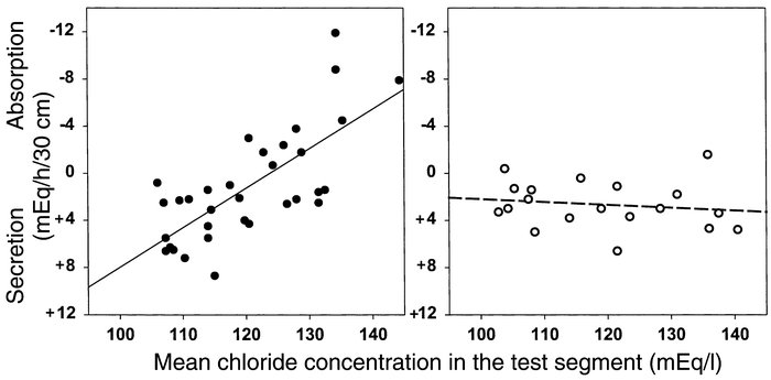 Net chloride absorption in response to chloride-concentration gradients....