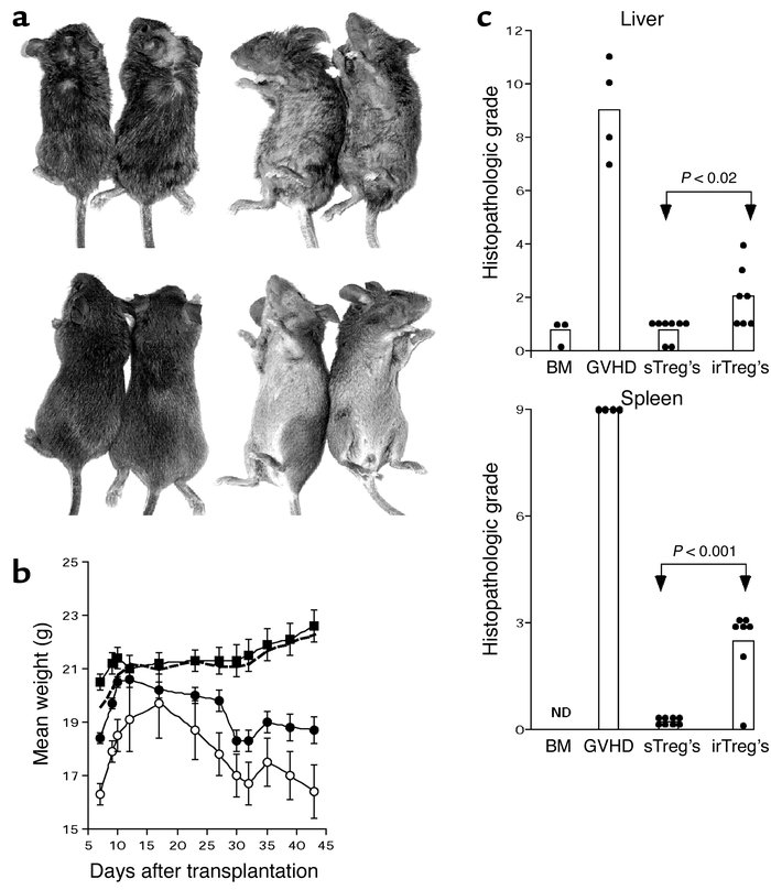 Regulation of GVHD by the addition of ex vivo–expanded Treg’s. At the en...