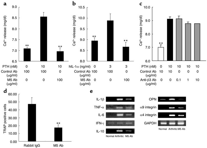 M5 Ab prevented osteoclast-mediated bone resorption and osteoclast forma...