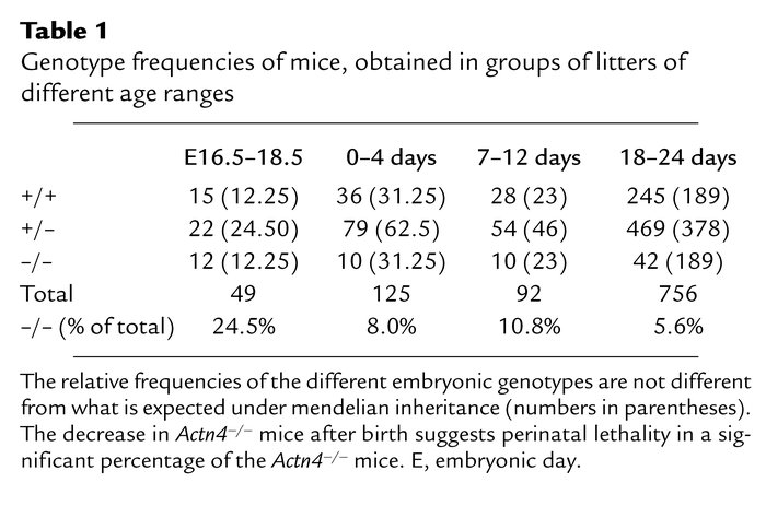 Genotype frequencies of mice, obtained in groups of litters of different...