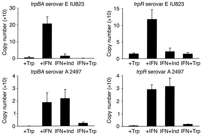 RT-PCR quantitation of trpBA and trpR mRNA isolated from HeLa cell monol...