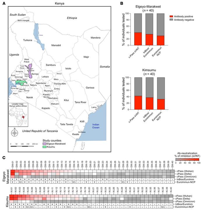 SARS-CoV-2 seropositivity in asymptomatic individuals living in Elgeyo M...