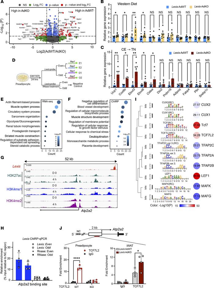 Systemic identification of Lexis “interactome” shows direct contact with...