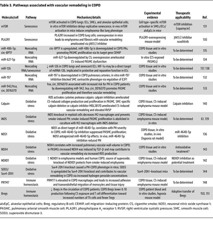 Pathways associated with vascular remodeling in COPD