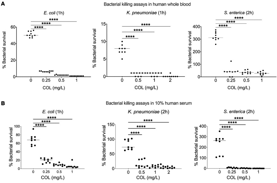 COL accelerates killing of mcr-1+ Gram-negative bacteria in human blood ...